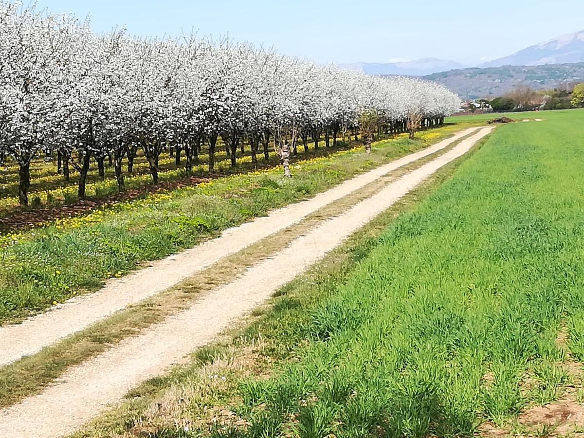 Borgo Barucchella 호텔 Sant'Andra 외부 사진